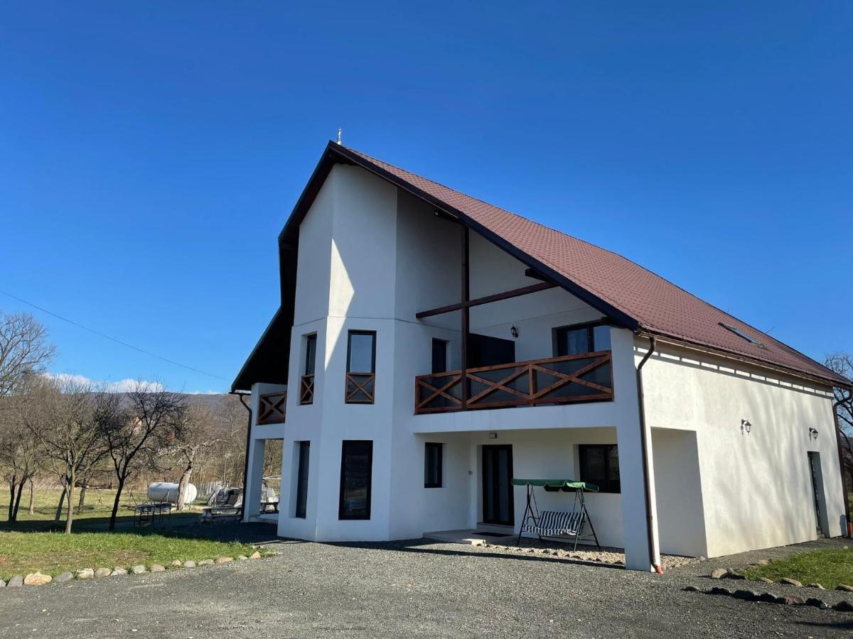 Pensiunea Rnb Maramures Surdesti  Exteriör bild
