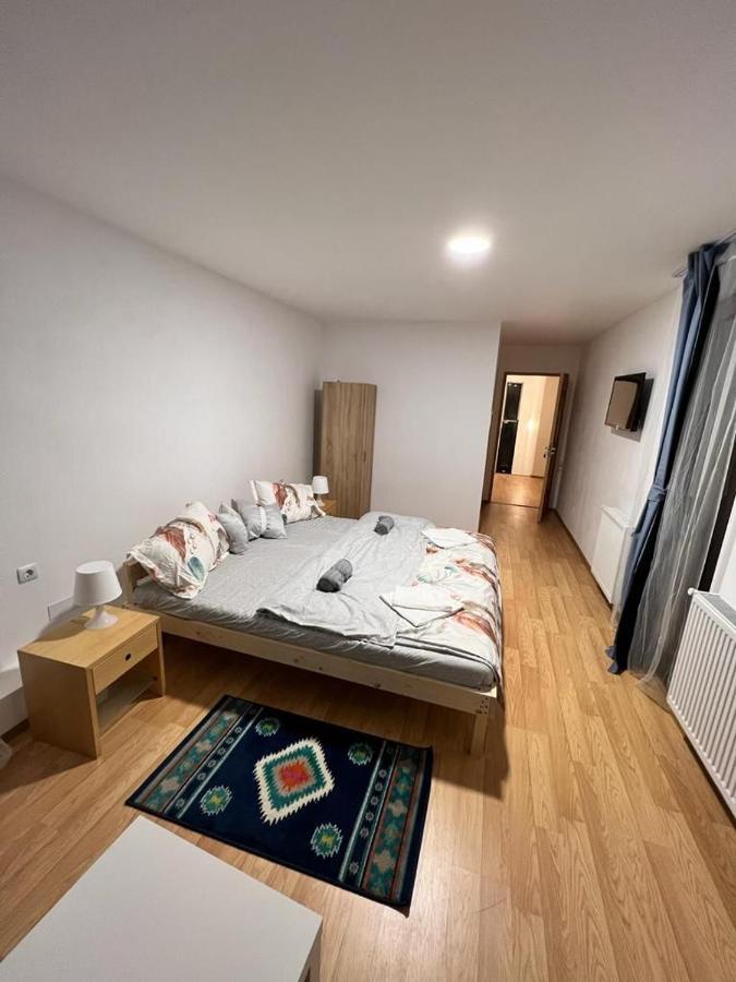 Pensiunea Rnb Maramures Surdesti  Exteriör bild